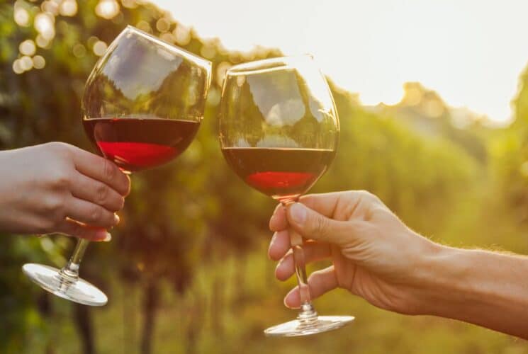 Two hands holding up glasses of red wine together in the middle of a vineyard