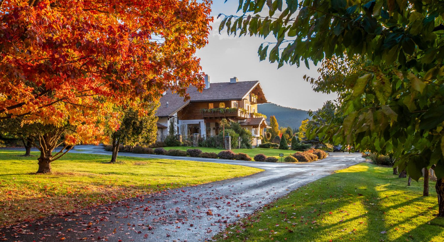 Large two story white and brown home in old world charm at the end of a long driveway lined with trees in fall colors