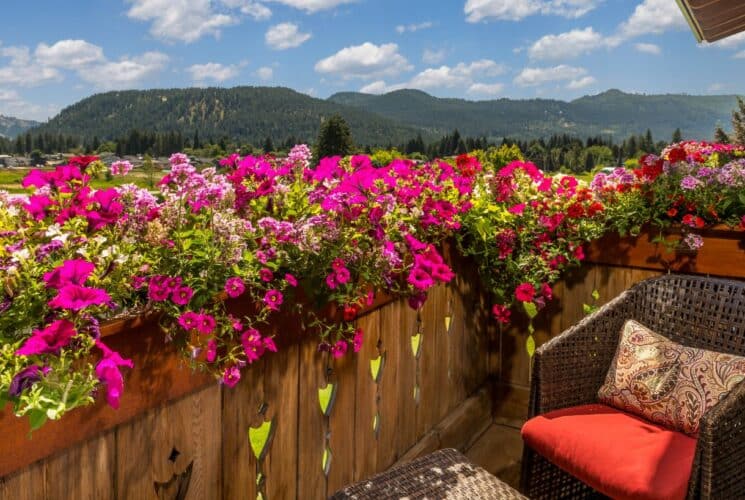 Balcony with wicker chair and footstool, bright pink flowers lining the railing, overlooking a mountain range