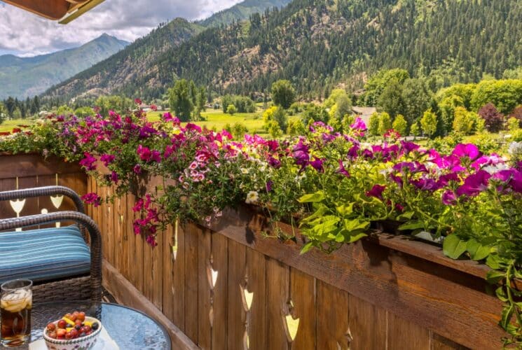 Balcony patio with chair and table, railing lined with purple flowers, overlooking a vast mountain range